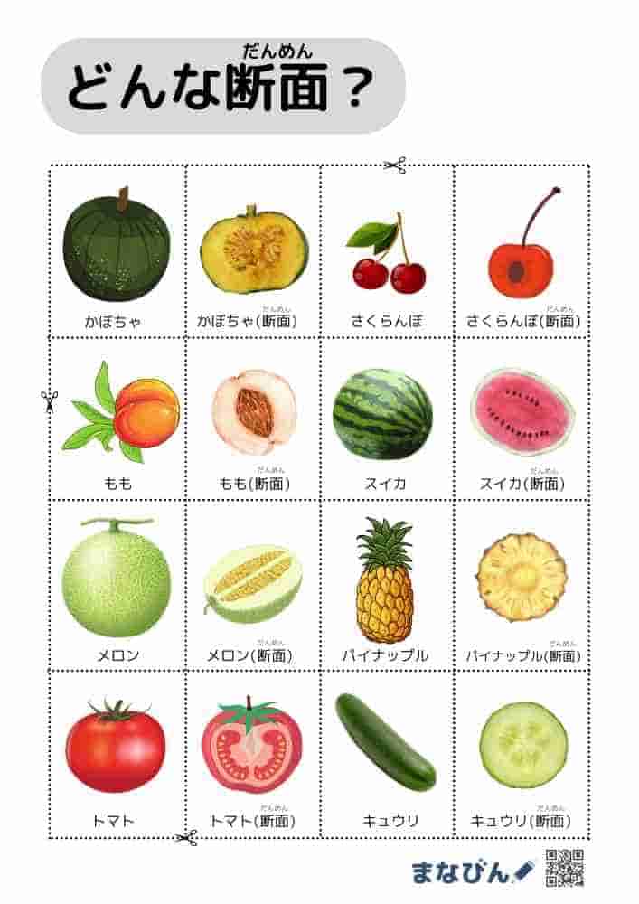 野菜果物の断面図⑤