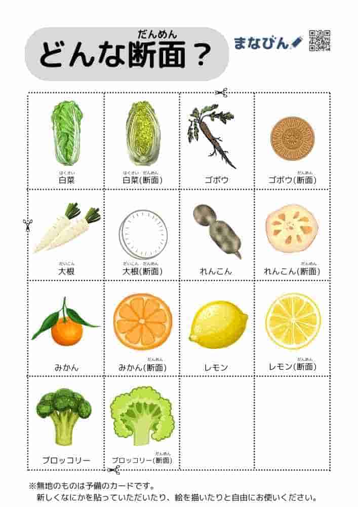 野菜果物の断面図⑧