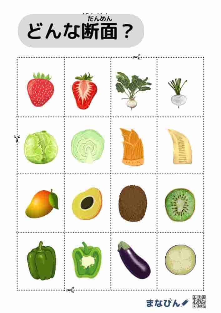 野菜果物の断面図⑨