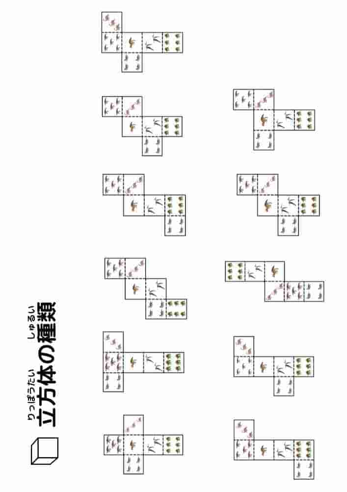 立方体の展開図（恐竜）⑫