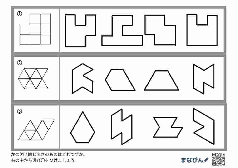 数量　比較⑦