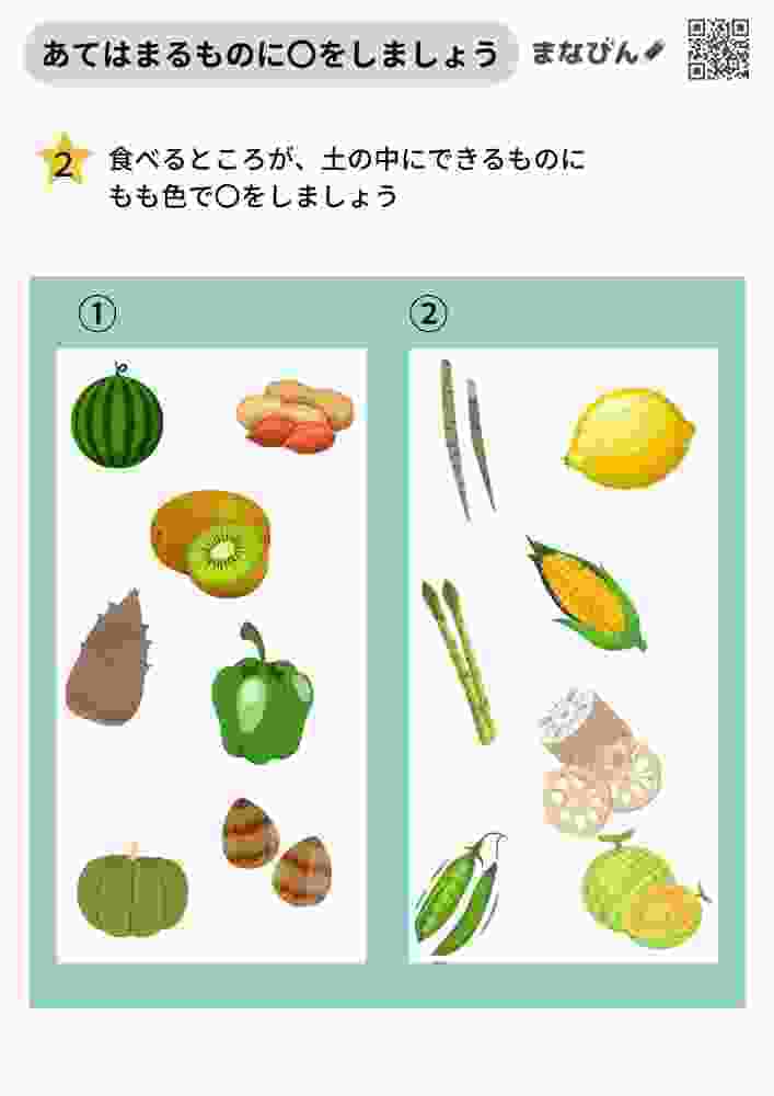 理科的常識プリント②