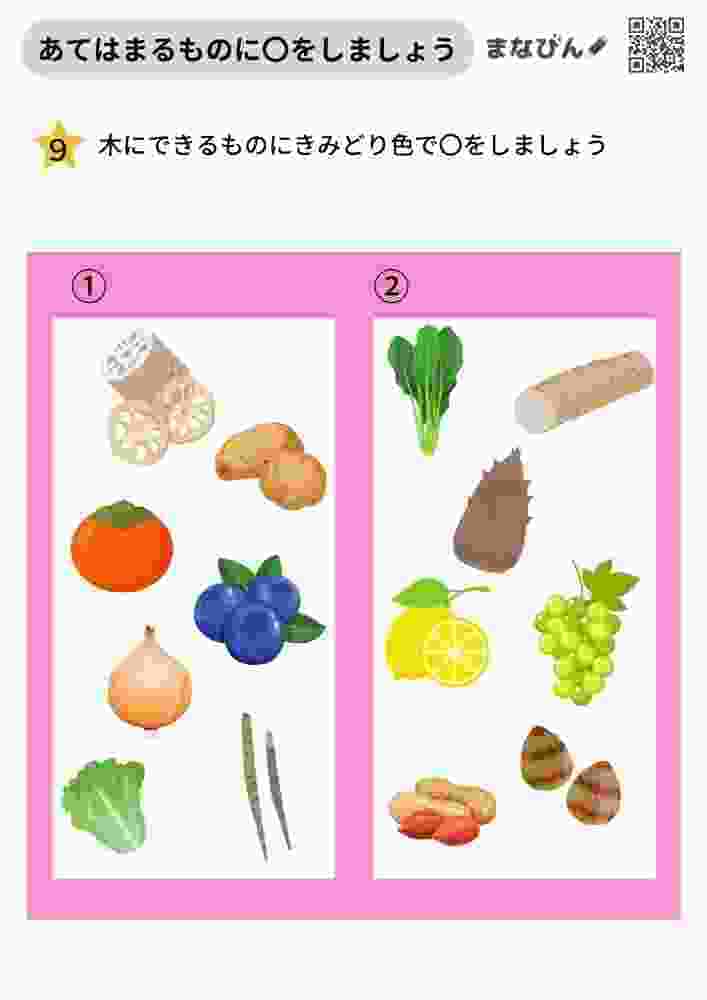 理科的常識プリント⑨